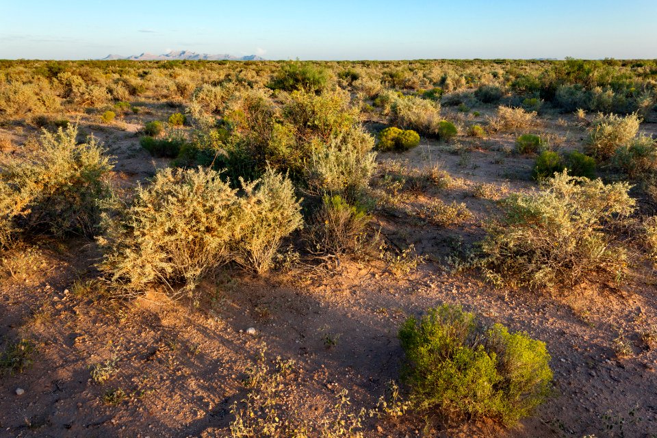 Southwest of the Santa Teresa Airport