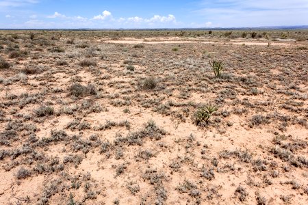 Near Chupadera Arroyo