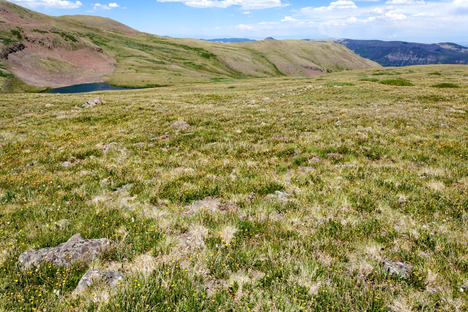 North-northeast of Conejos Peak