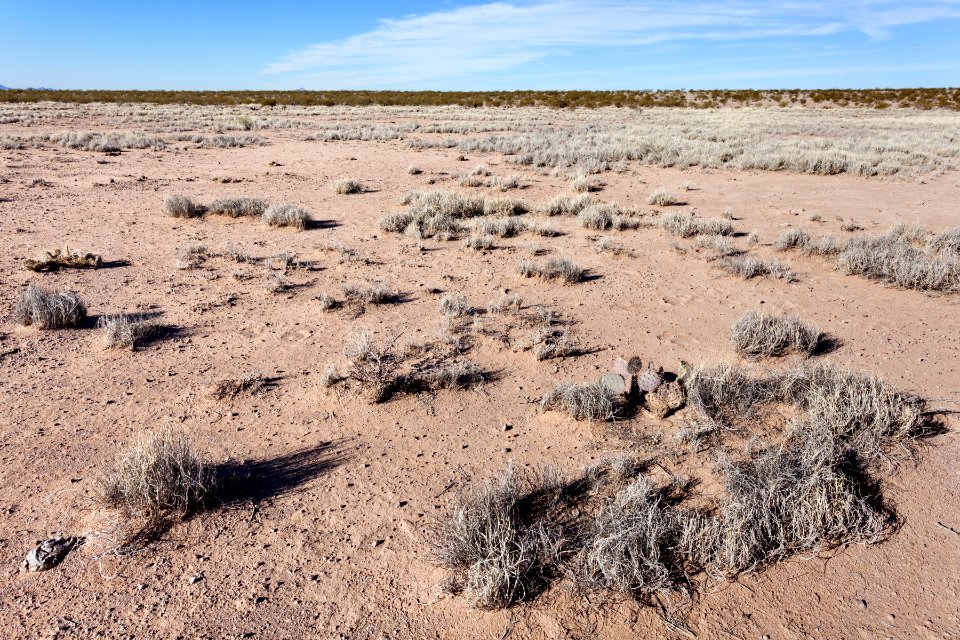 South-southwest of Goat Ridge