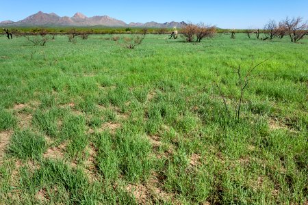 Southeast of the Do&ntilde;a Ana Mountains