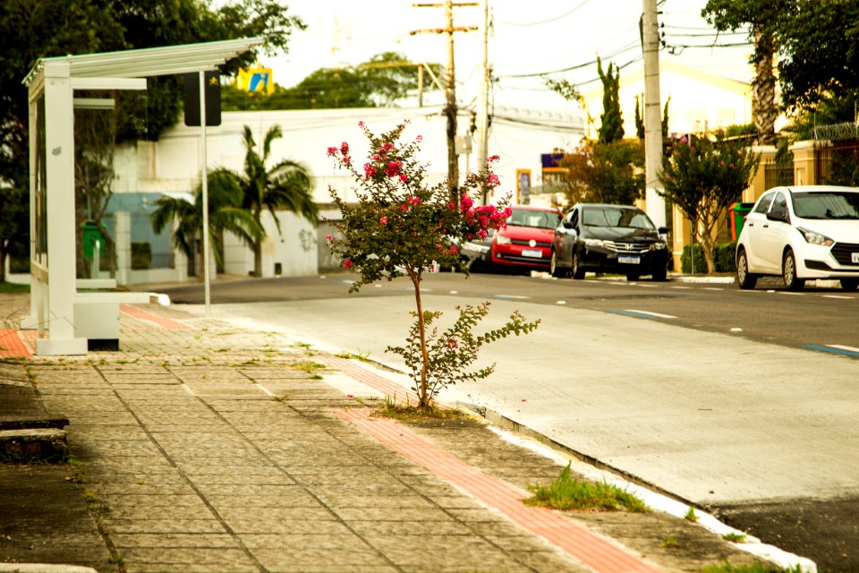 19.02.2019 - Prefeita Paula Mascarenhas realiza inauguração do primeiro trecho da rua Marechal Deodoro - Foto: Gustavo Vara