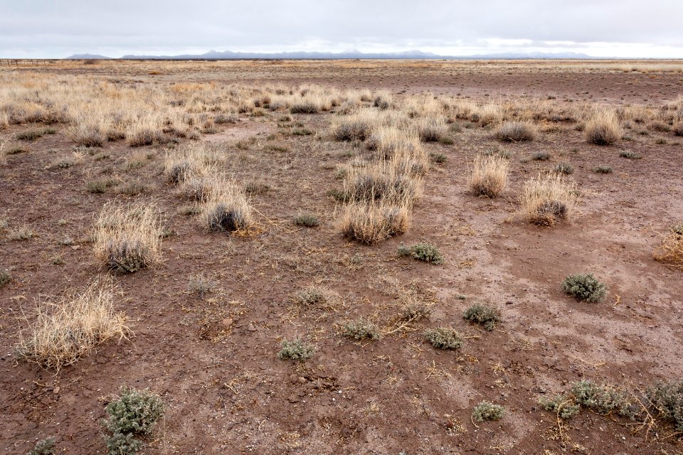 North-northeast of Northern Lordsburg Playa