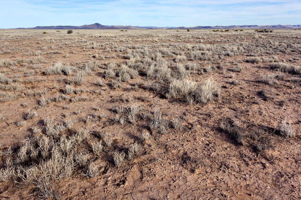 Near Hadley Draw