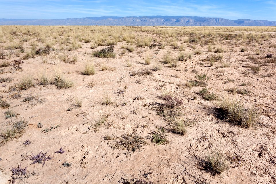 North of Twin Buttes