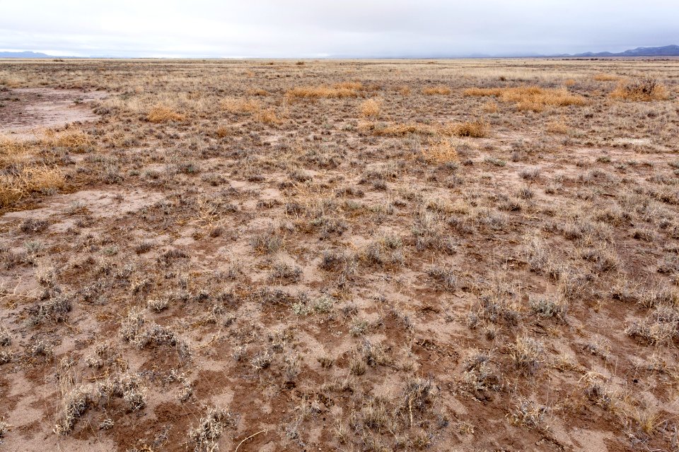 North of Northern Lordsburg Playa