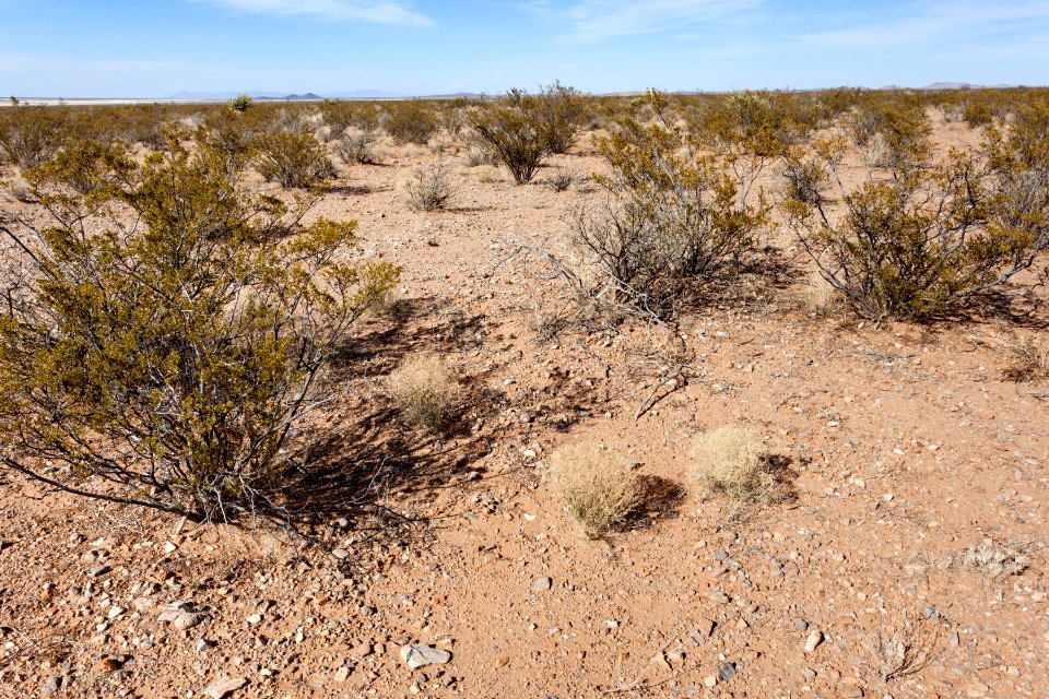 Northwest of the Apache Hills