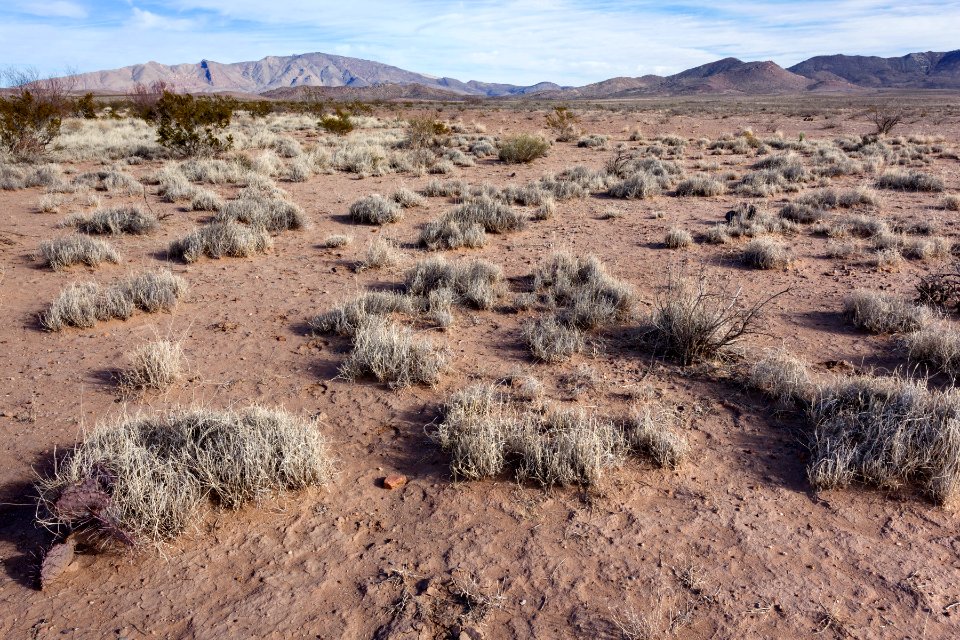 South-southeast of Goat Ridge