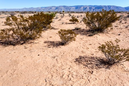 North of Lone Butte