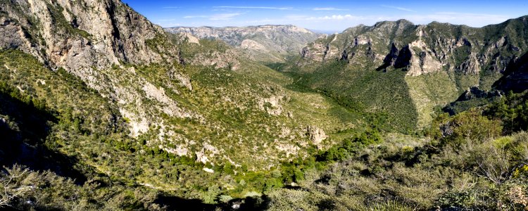 McKittrick Canyon