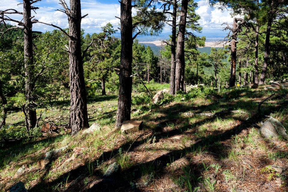 Continental Divide Trail