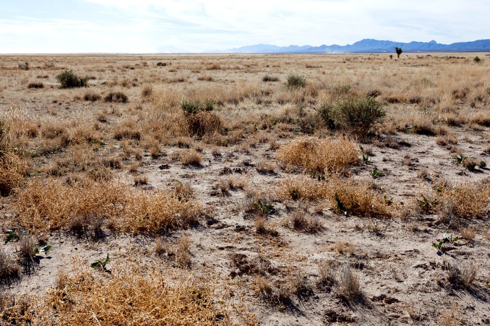 West edge of Lordsburg Playa