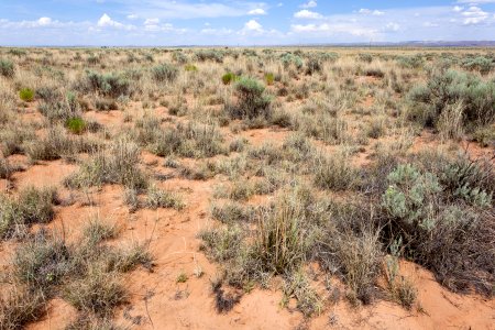 Near Chupadera Arroyo