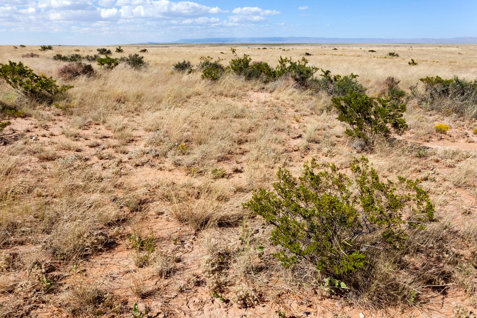 Otero Mesa