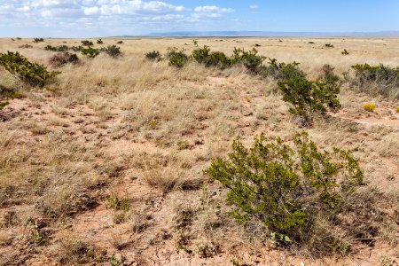 Otero Mesa
