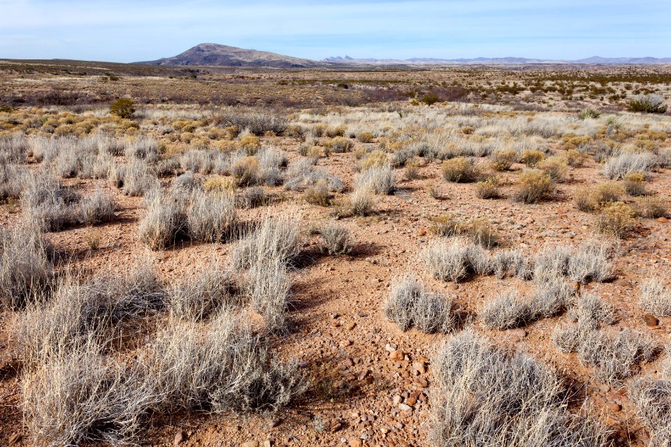 Southwest of Redrock