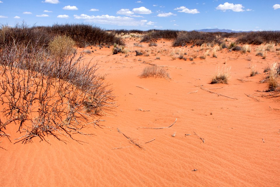 Jornada Experimental Range