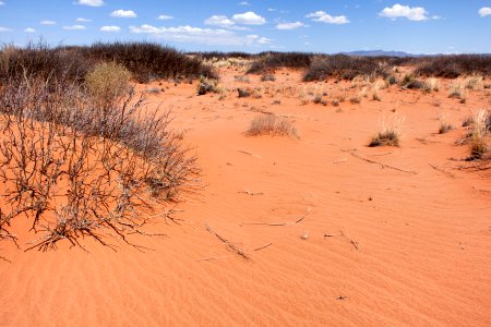 Jornada Experimental Range