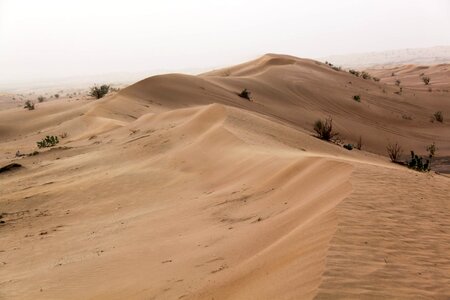 Dubai sand dunes dune
