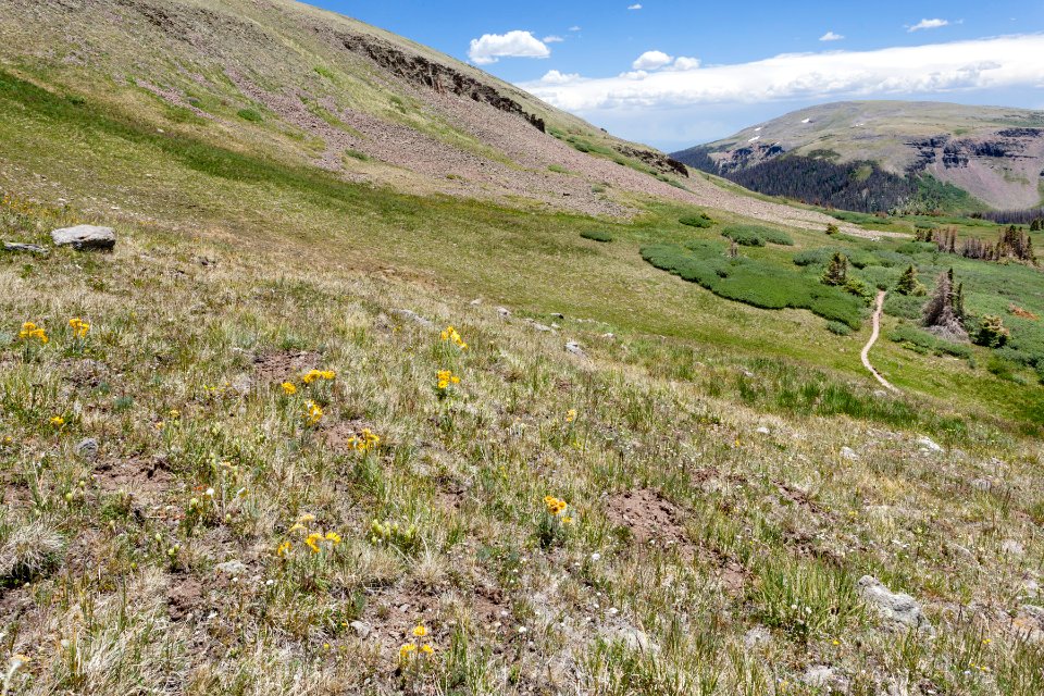 East of Tobacco Lake