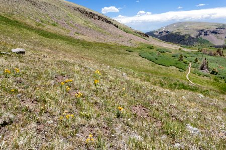 East of Tobacco Lake