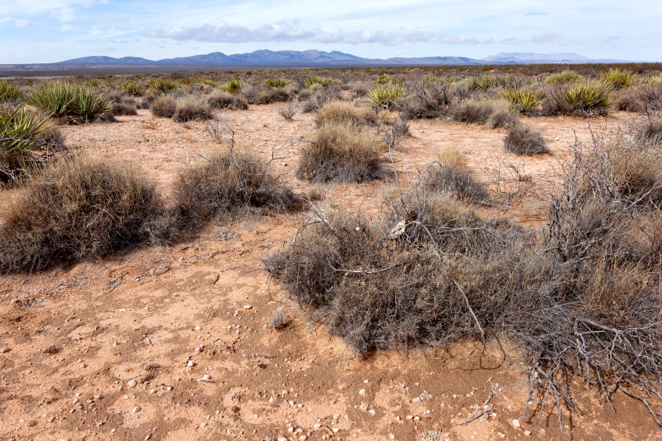 East of Rincon Arroyo