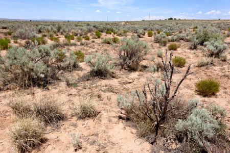 Near Chupadera Arroyo