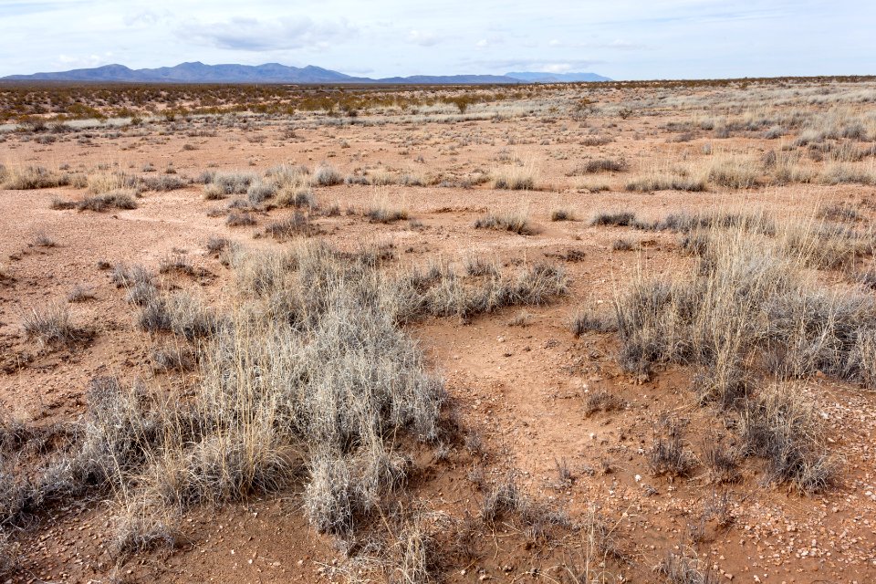 West of Rincon Arroyo