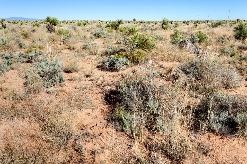 Northeast of the Armendaris Malpais