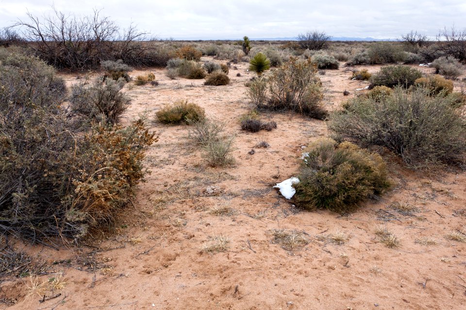 North-northeast of Northern Lordsburg Playa