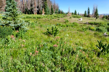 East-northeast of Tobacco Lake