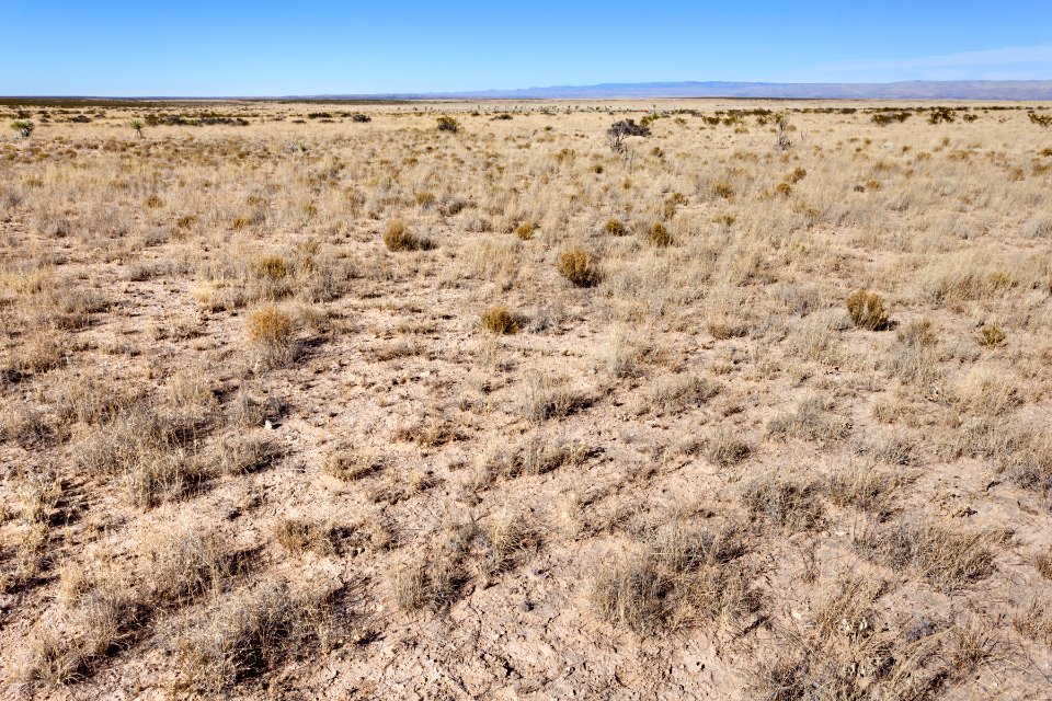Otero Mesa