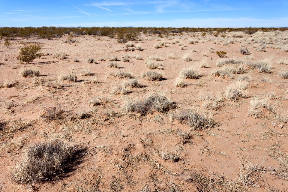 South of Goat Ridge