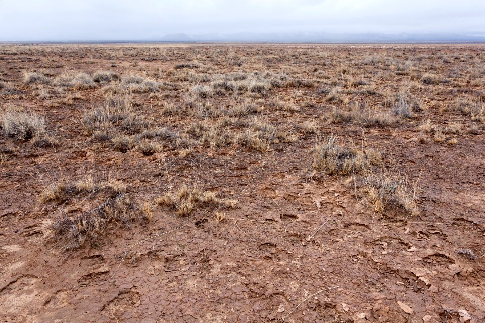 East edge of Third Lordsburg Playa