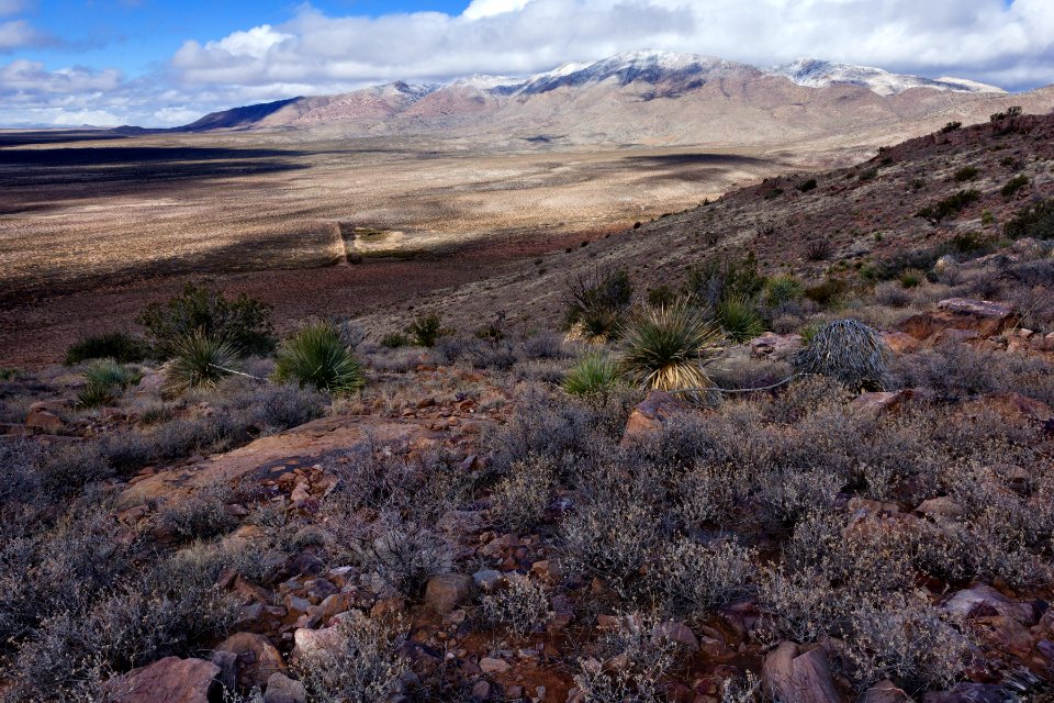 Southeastern foothills of Cookes Range photo