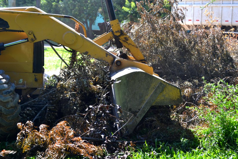 20.02.2019 - Mutirão de combate ao Aedes no Balneário dos Prazeres  - Foto Janine Tomberg