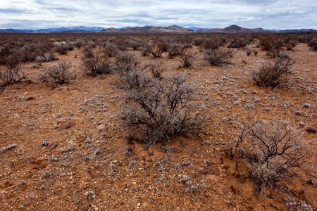 Near Greenhorn Arroyo