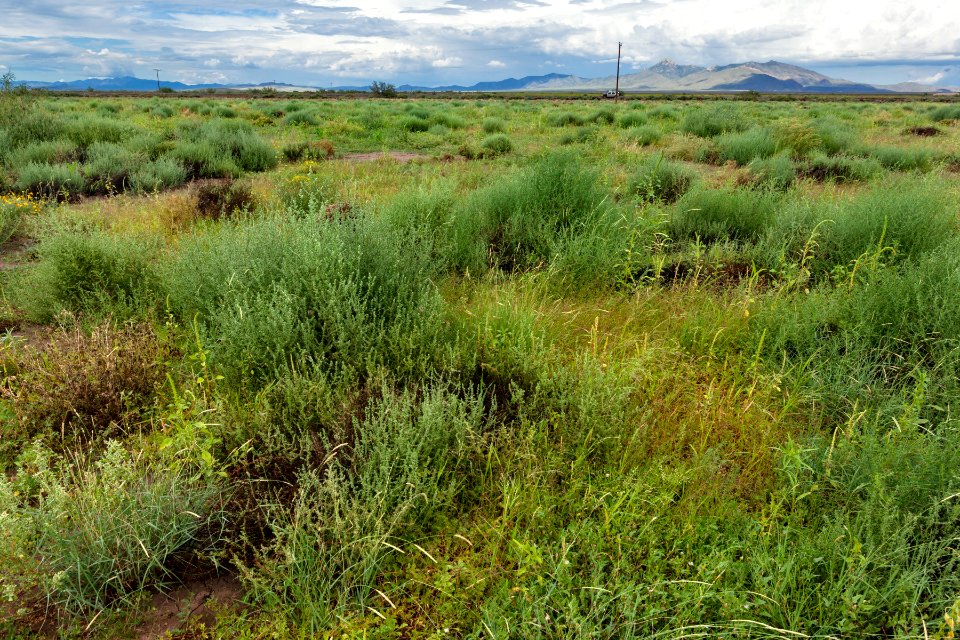 Near U.S. Hwy. 180