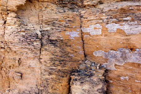 Abo Formation laminated sandstone