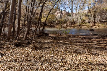 Gila River