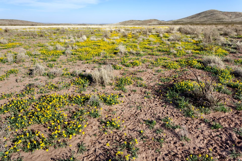 Southeastern Cedar Mountains