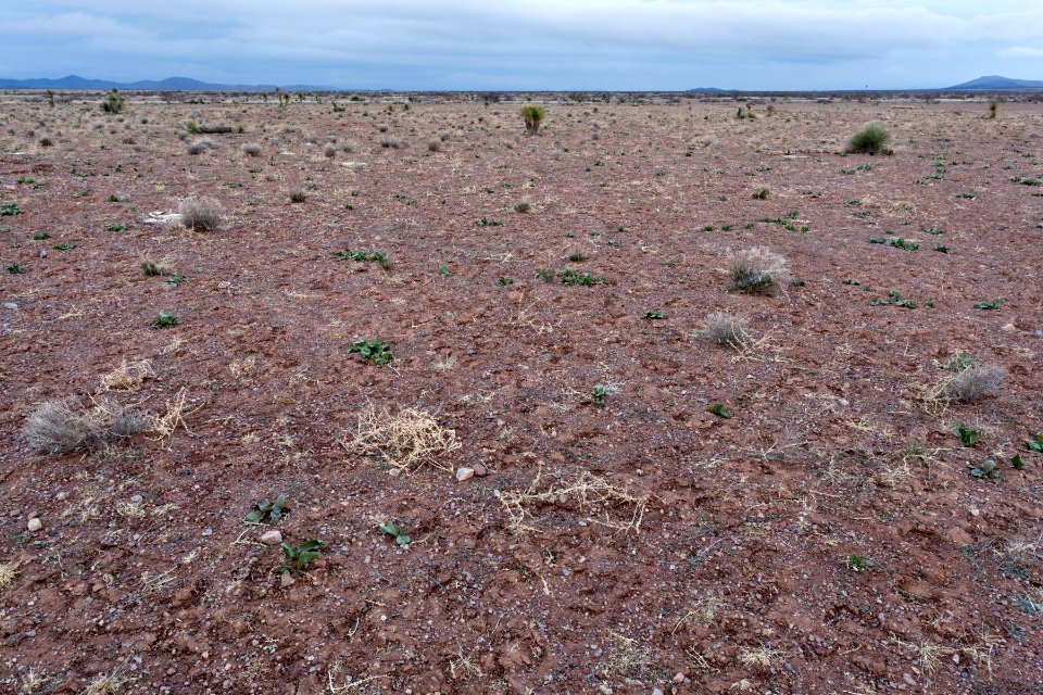 Northwest of Northern Lordsburg Playa