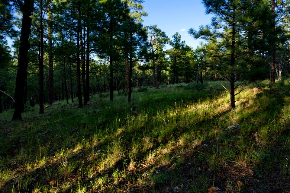 Northwest of Beaver Points