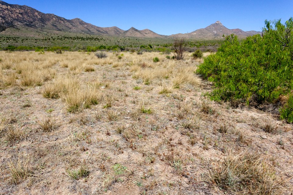 Northeast of Aguirre Spring