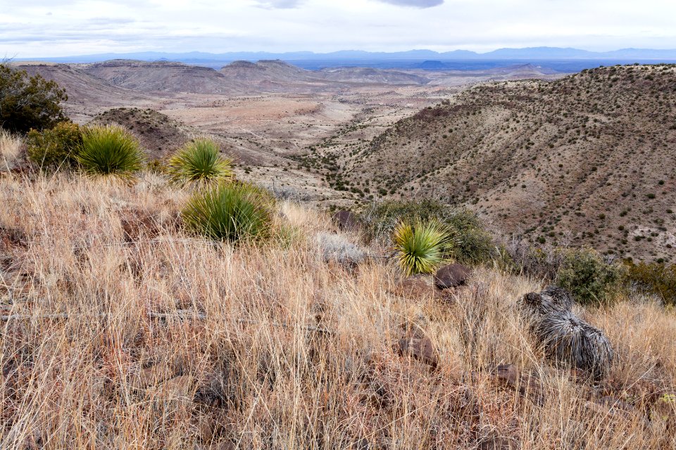 Central Sierra de las Uvas