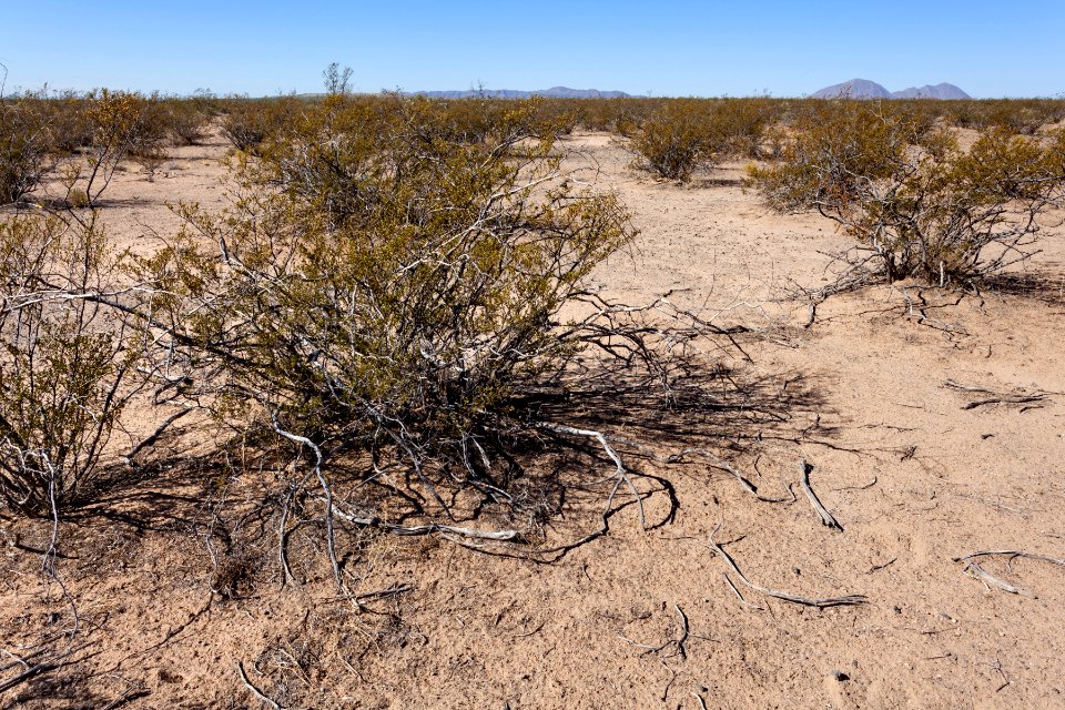 North-northeast of Kilbourne Hole