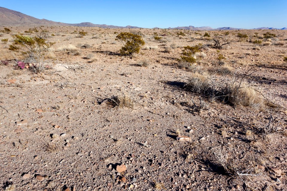 North of Goat Ridge