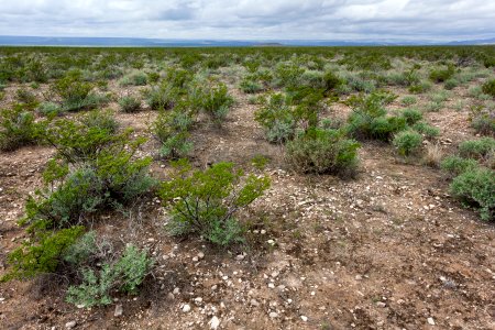 Near Box Canyon