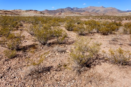 West-northwest of Fort Cummings