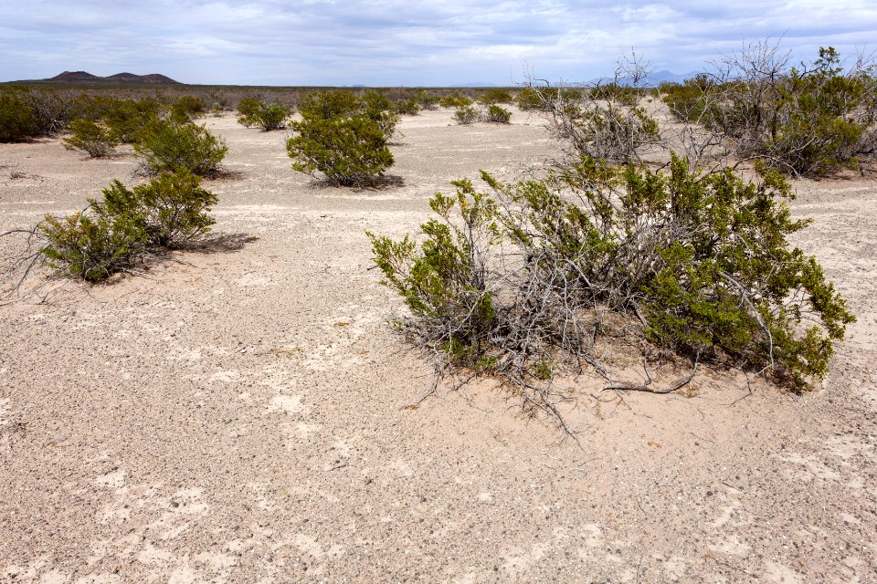 Northeast of Kilbourne Hole